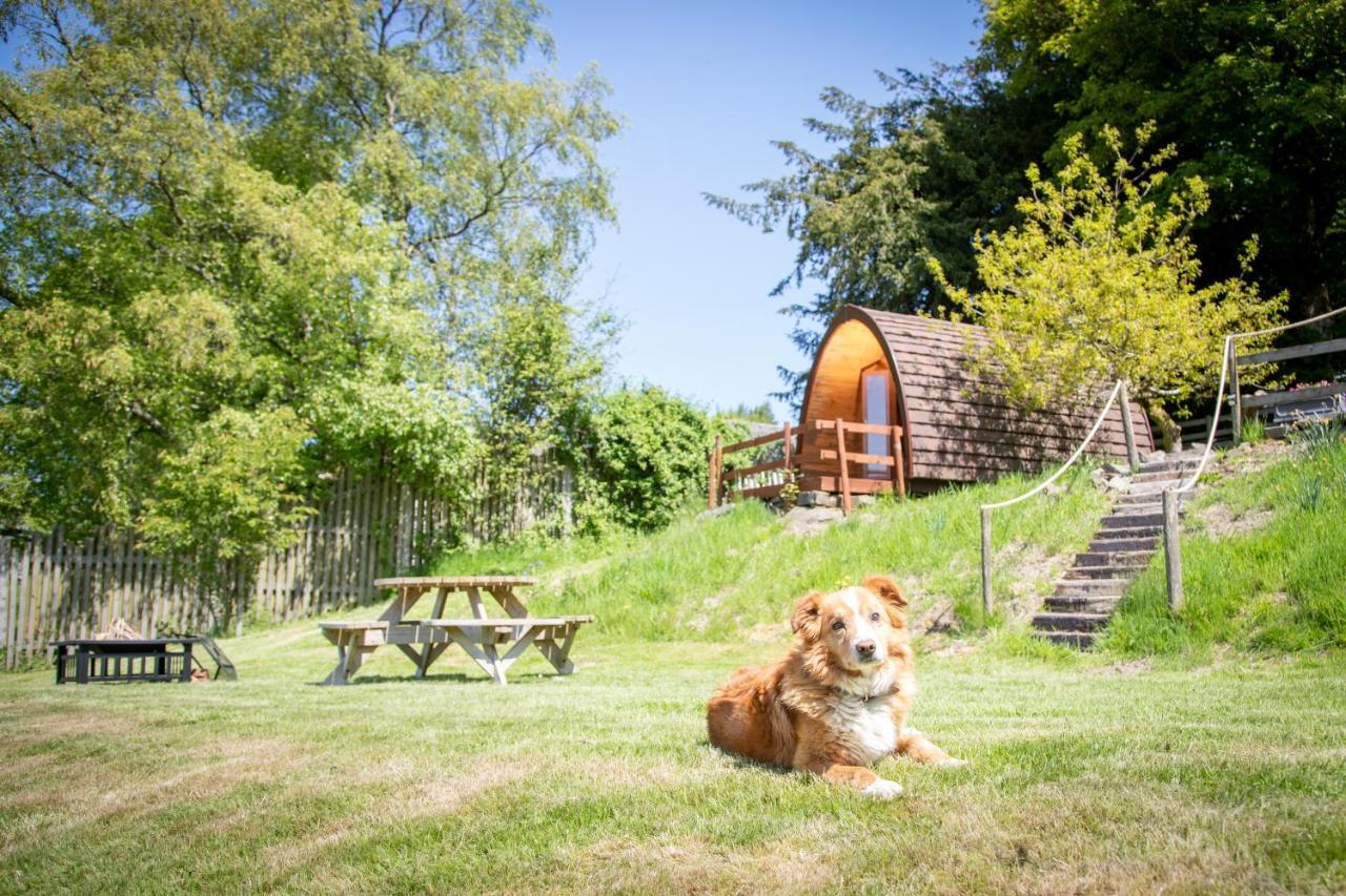 Ty Grug Pods Hotel Bryngwyn Exterior foto